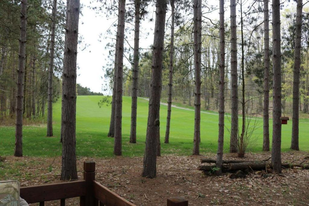 Crystal Mountain Cabin-Shuttle Pass Included! Thompsonville Exterior foto